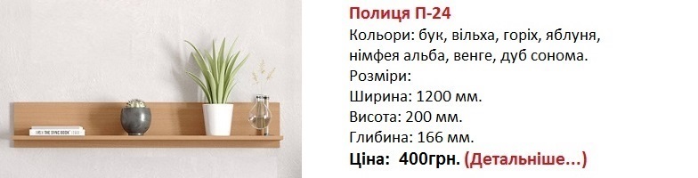 Полиця П-24